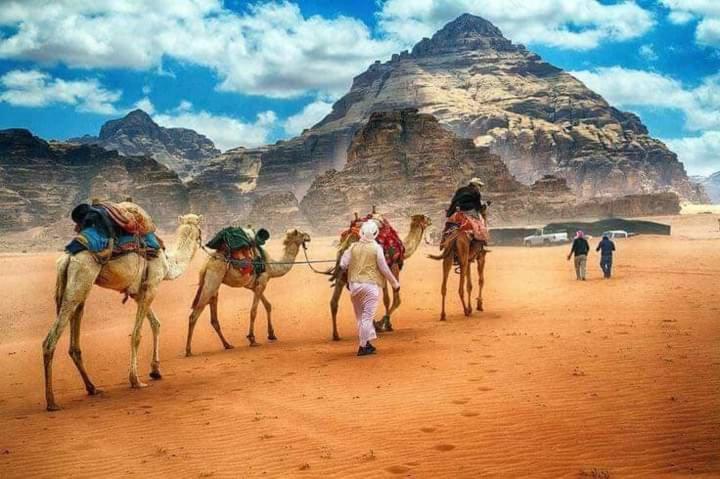 Rum Titanic Camp Wadi Rum Buitenkant foto