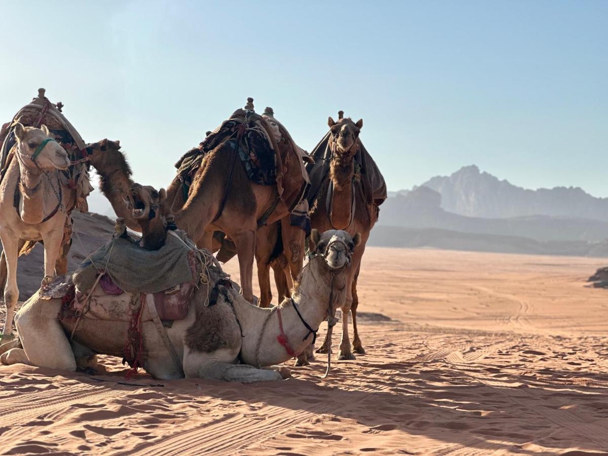 Rum Titanic Camp Wadi Rum Buitenkant foto